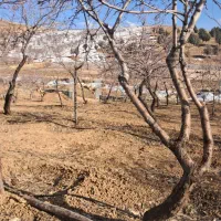 نیازمندمعدل تماس بگیره