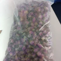غنچه گل محمدی