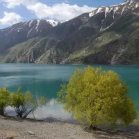 کوهنوردی. طبیعت گردی