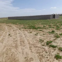 زمین ملکی فروشی