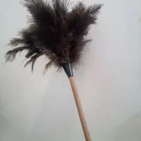 چوب پر ، چوب گردگیری
