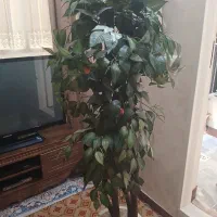 گل مصنوعی|گل مصنوعی|تهران, یاخجی آباد|دیوار