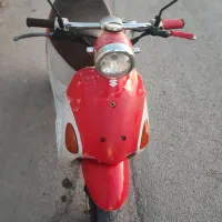 پاکشتی درحد نو تمیز