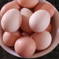 تخم مرغ محلی ارگانیک و تازه