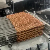 کباب پز کباب زن