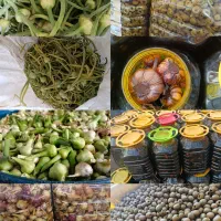 سیرترشی و گل سیر