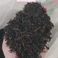 چایی بهاره سرگل شمال