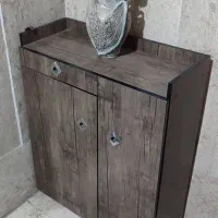 جا کفشی