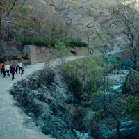 درکه گردی