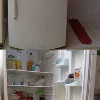 یخچال سالم دو در