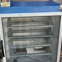 دستگاه جوجه کشی اسکندری