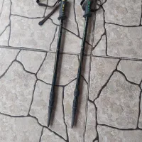 عصای کوه نوردی