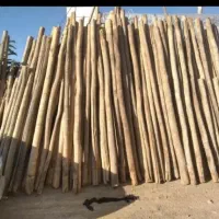 انواع چوب خریداریم