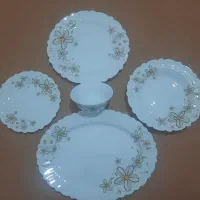 سرویس ارکوپال