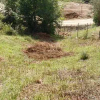 فروش زمین ییلاقی روستای رجه سوادکوه