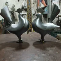 علامت کفتر علم