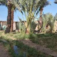 اجاره باغ نزدیک میدان بهارستان ابتدایجاده باقراباد