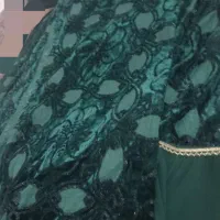۲ دست لباس محلی