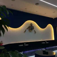 همکار آقا خانوم در کافه