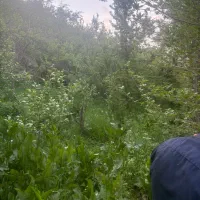 کشاورزی