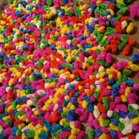 جوجه رنگی اردک ولایتی بلدر چین بقلمون