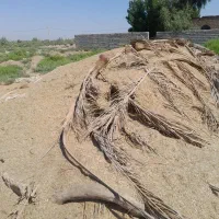 مسیر حمیدیه گمبوعه بزرگ روستای شارطاق ۲