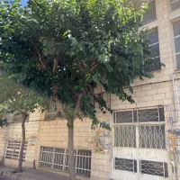 فروش-ویلایی-270-متری-در-2-طبقه-تاپ-لوکیشن-منطقه