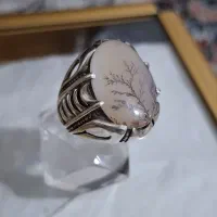 فدیوم مهر طلای استاد کاوه