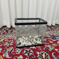 آکواریوم،پمپ هوا