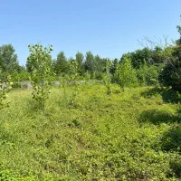 زمین دور محصور شده به متراژ ۱۱۶۰ متر ویشکاننک