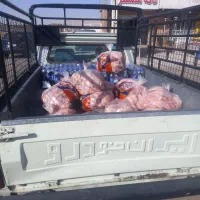 وانت کرایه سیرجان درون شهری وبرون شهری