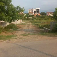 ۲۵۰ زمین چسبیده به بافت سوخته کلا