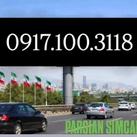 0917.100.3118
