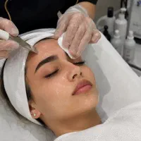 مدل فیشیال