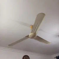 پنکه