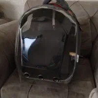 کیف حمل پرنده