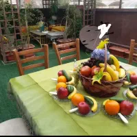 هاشمیه آپارتمان مبله شیک VIP حیاط دار