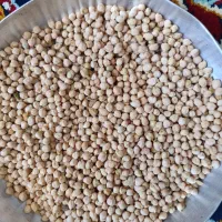 نخود چگنی ریز 180هزارتومن