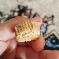 فسیل|مجسمه، تندیس، ماکت|خرم‌آباد, |دیوار