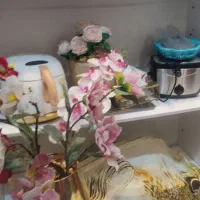 ظروف یکجا