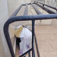 باربند پیکان وانت مهندسی