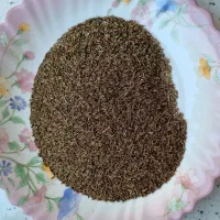 زیره کوهی درجه یک کلات