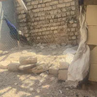 طاووس نر