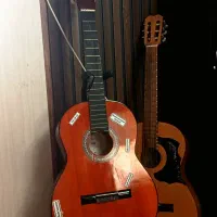 دو عدد گیتار