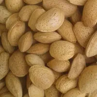 خریدوفروش انواع پوست پسته بادام الوک گل محمدی مویز