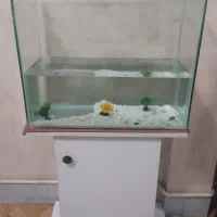 آکواریوم