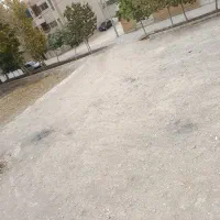 زمین سیمرغ
