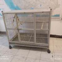 فروش قفس بزرگ طوطی کاسکو