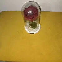 باکس گل رز تکی