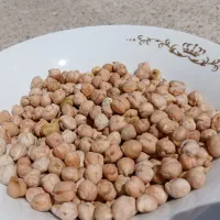 نخود|خوردنی و آشامیدنی|مشگین شهر, |دیوار